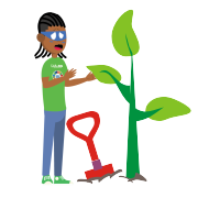 Planta Árboles